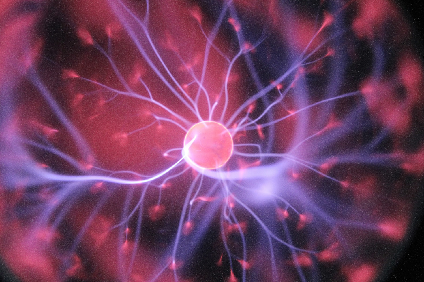Exploring the Science of Everyday Objects